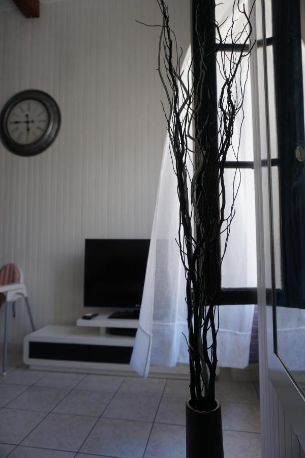 Le Telly-Centre Ville-Petits Prix-Ideal Pour Rayonner Sur La Ville カルカソンヌ エクステリア 写真